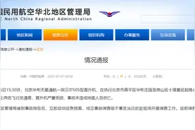 俄罗斯一客机与鸟相撞！近期国内外5起航空事故敲警钟图片