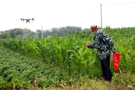 辽宁大连瓦房店合作社喷洒农药用上无人机图片