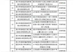 滨州市滨城区校外培训机构黑白名单公示图片