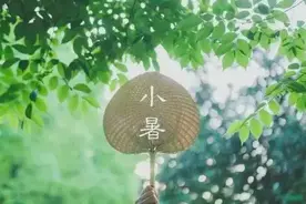 小暑时节吃什么？丝瓜！图片