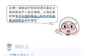 夏日蚊虫弱小但能叮，花露水一喷真的能解千愁吗？图片