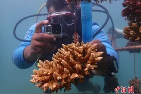 老有人被罚！过海关前，一定检查有没有带这些图片