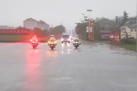 军车护送，警车开道！这59名烈士集中迁葬入陵图片