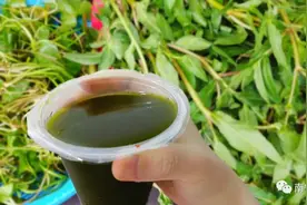 夏天，来一杯老南宁喜欢的凉茶解暑吧！图片