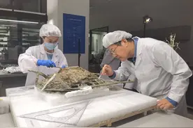 名人大讲堂｜我们从哪里来？王巍入川开讲中华文明探源工程亲历记图片