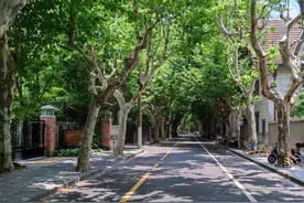 烈日炎炎，这些家门口的林荫道藏着夏日里小清新图片