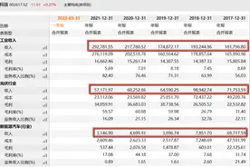 财说 | 百亿第三代半导体项目进展缓慢，露笑科技股价接近腰斩图片