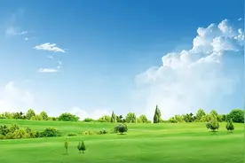 这些穴位堪称人体的“天然药库”图片