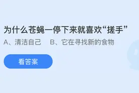 为什么苍蝇一停下来就喜欢搓手？7月11日蚂蚁庄园答案最新图片