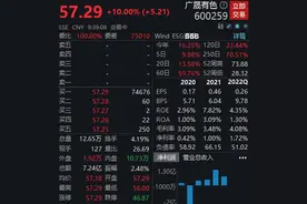 广晟有色涨停，子公司获采矿许可证，稀土资源储量增8倍图片
