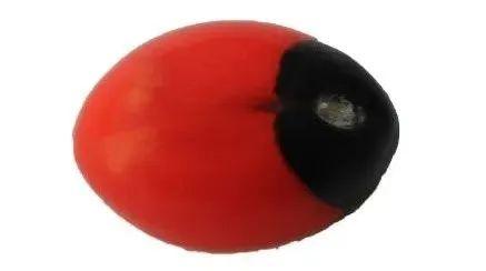 种子里的隐秘杀手丨凡此种种