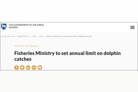 一天捕杀1423头海豚惹众怒，丹麦法罗群岛：今明两年每年最多500头图片