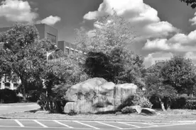 湖南生物机电职业技术学院：跨界协同 一生一案 创新培育乡村振兴本土人才图片