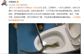 女子上厕所时从马桶钻出一条蛇图片