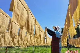 小豆片儿大“钱”景 河北百年“老味道”香飘京津图片