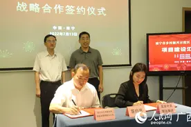 南宁市召开乡村振兴示范区（邕宁片区）项目建设汇报会图片