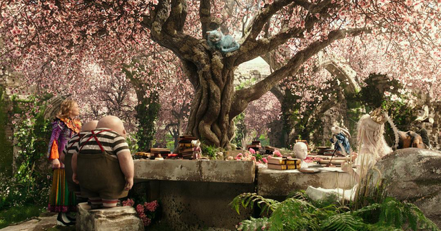 ������ͬ��ֻ�����۳��سԻ�����ʱ�����ö���ű���ע