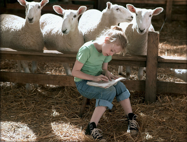 ������ͬ��ֻ�����۳��سԻ�����ʱ�����ö���ű���ע