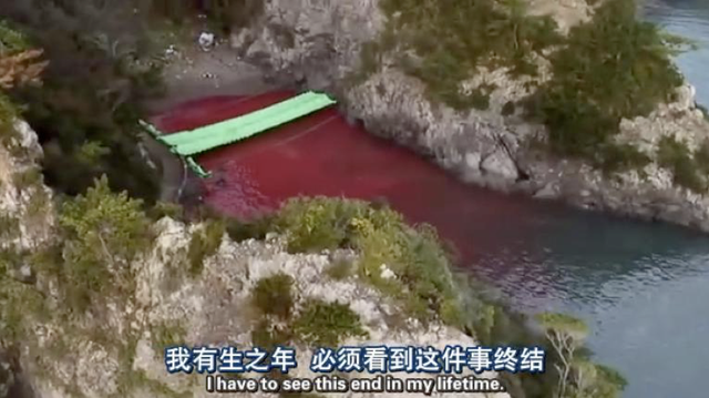 ������ͬ��ֻ�����۳��سԻ�����ʱ�����ö���ű���ע