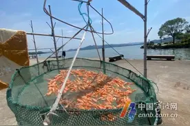 近日炎热持续“暴击”宁波 为什么今年特别热？还要热多久？专家分析图片