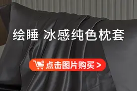「绘睡19姆米重磅真丝枕套」5折特惠！甄选6A级高品质桑蚕丝，轻柔沁肤，光洁雅致，丝滑奢宠如爱人拥抱图片