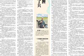 山上来了只小狐狸｜江花图片