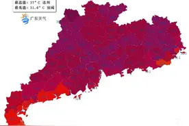 警惕！多地多人确诊"热射病"，已有死亡病例！如何预防→图片