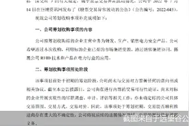 又有内幕消息提前泄露？远望谷涨停牵出收购事项图片