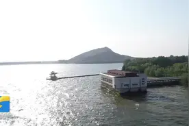 潍坊现代农业省实验室争创“国字号”为打造乡村振兴齐鲁样板先行区提供强力支持图片