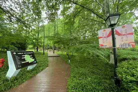 江苏省南京“雨花英烈精神”青年运动史教育线路图片