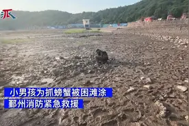 宁波13岁男孩海边抓螃蟹玩 结果深陷泥潭 差点回不了家图片