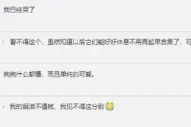 功勋犬退役被领养，训导员哭成孩子……图片