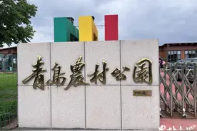 8年创业，青岛小嫚瞄准农旅融合，把废石坑打造成“农村公园”图片