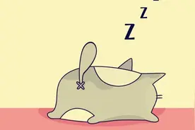 痰湿作怪打呼噜！食疗保健、穴位按摩助改善图片