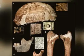 中科院专家研究发现我国南方古人类与古印第安人基因组相近图片