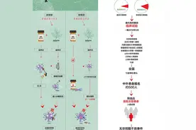 诺贝尔奖没颁错，刚刚，中国非主流科学家89岁屠呦呦再次震惊世界图片