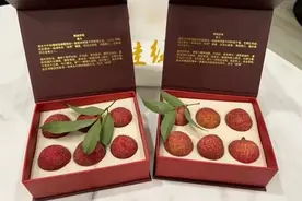 1049元挂绿荔枝2天卖空，曾拍卖出55万一颗“天价”图片