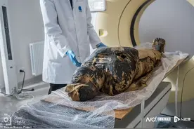世界首具古埃及孕妇木乃伊2000年前怀孕28周死于鼻咽癌图片