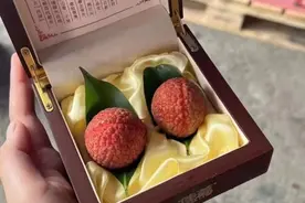 荔枝100元一颗！网友：这已经不是刺客了，叫悍匪……图片