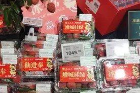 对话｜挂绿荔枝为啥千元一斤？唯一母树的技术顾问：非垄断，栽培太难图片