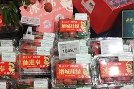 挂绿荔枝为啥千元一斤？唯一母树的技术顾问：非垄断，栽培太难图片