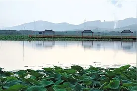 夏至南阳湖图片