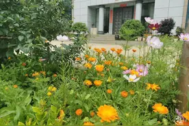 昭阳区孔家营自然村：美丽乡村入画来图片