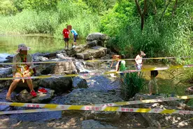 奥森“网红小溪”不少孩子嬉水！园区提醒：此水不适宜游玩图片