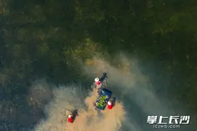 记者探访生态水草养殖工人：顶着烈日拔除杂草，也有可能摸到水蛇图片