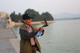 专访北师大鸟类学家赵欣如：建议开展北京雨燕专项研究图片