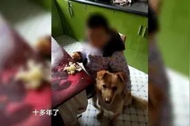 如此明目张胆？！陌生男子闯进家，当着主人的面偷走宠物狗图片