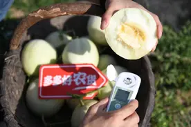 公益助农，拼多多启动“寻鲜中国好农货”图片