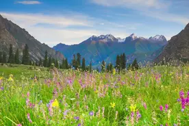 新疆，北有昭苏，南有温宿图片