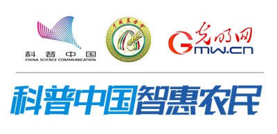 4股绳井字绳编法（设施蔬菜为何多采用挂绳吊秧方式如何提高放秧效率）